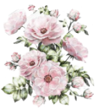 розовые светлые  (144) (143x160, 49Kb)